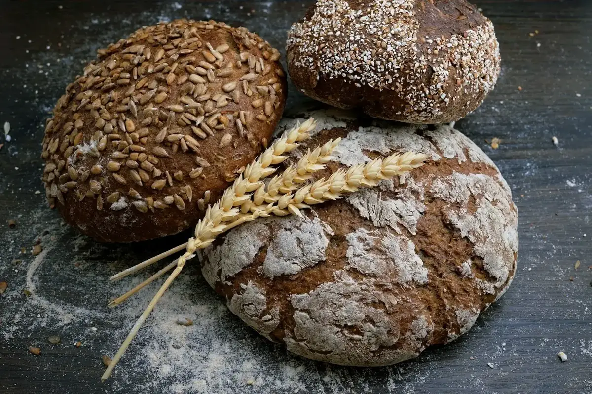 Fresh-baked artisan bread at a local Colorado bakery